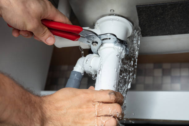 Best Sewage cleanup and water damage restoration  in Eagan, MN
