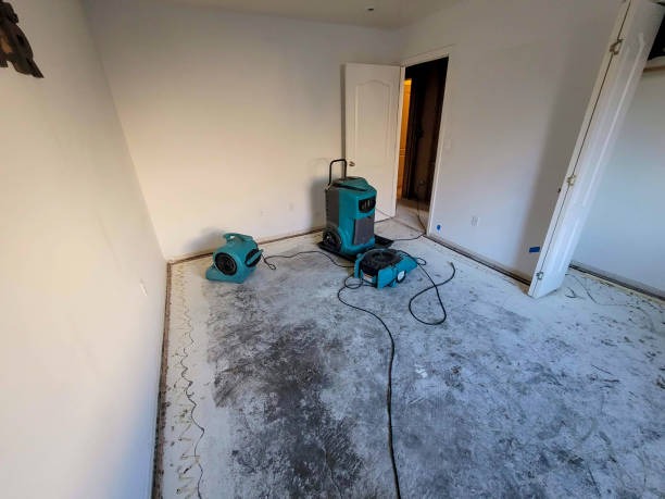 Best Ceiling water damage repair  in Eagan, MN