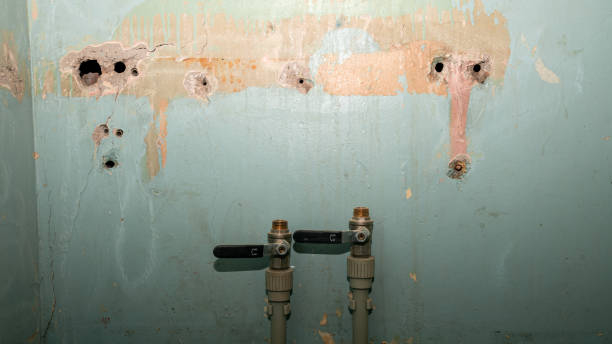 Best Residential water damage restoration  in Eagan, MN