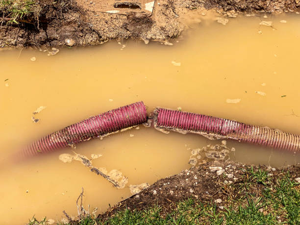 Best Water damage restoration services  in Eagan, MN