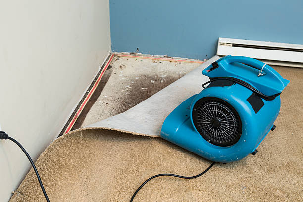 Fire Damage Restoration in MN