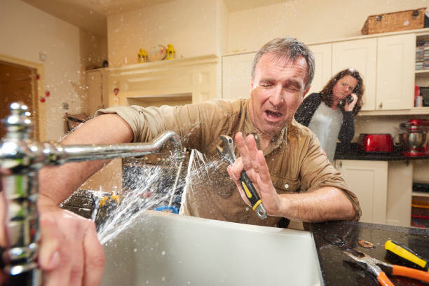 Best Fire Damage Restoration  in Eagan, MN